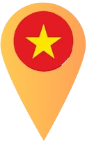 pin-vn